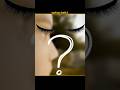 You Will Be Forced To Think PT2 #shorts #viral #trending #youtubeshorts #viralvideo #shots #foryou