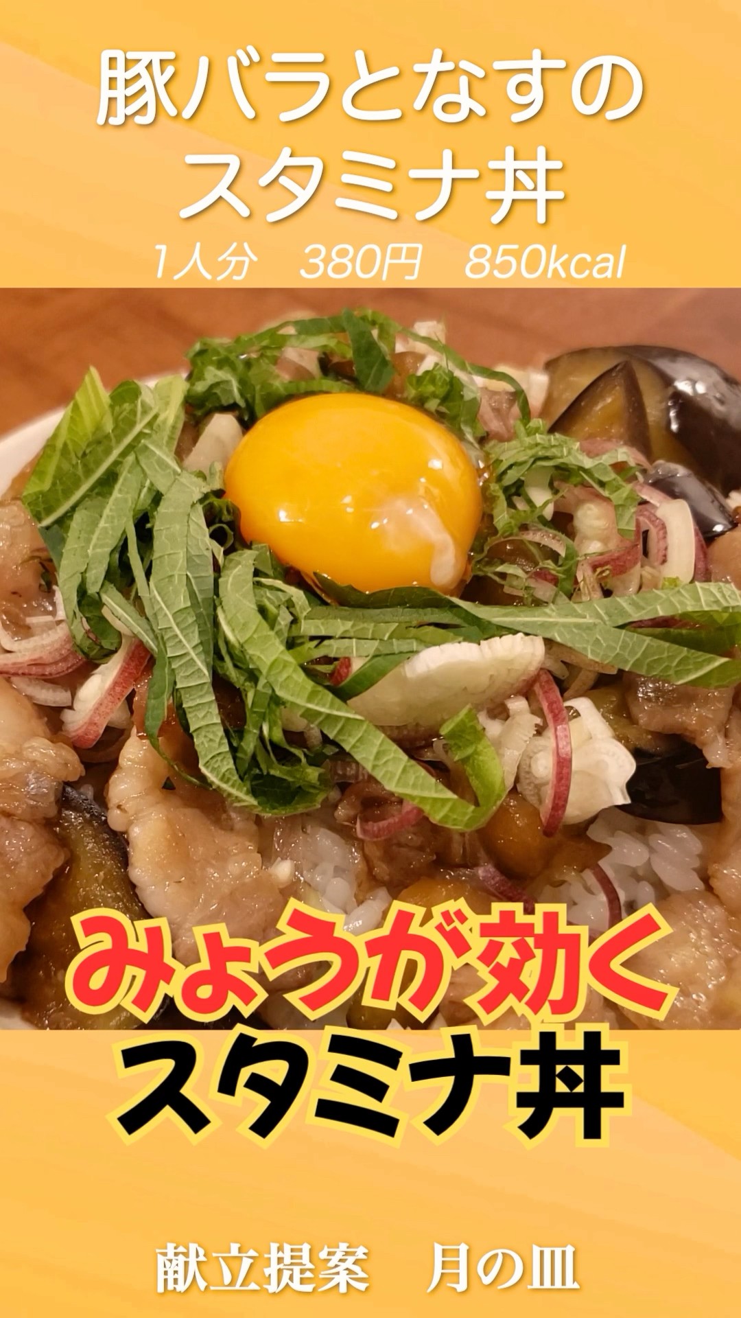 スタミナ丼 Stamina Bowl] Pork Belly, Eggplant, and Japanese Ginger Stamina