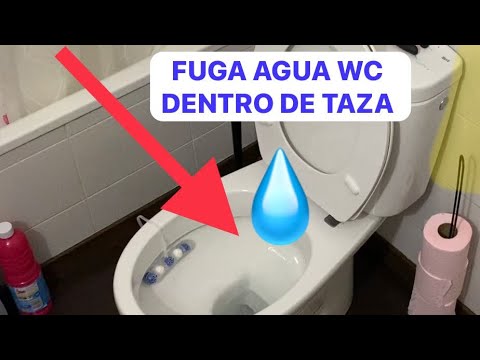 Fugas de agua en Wc Gala causas y reparar junta descargador Gala 