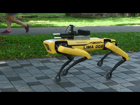 Boston Dynamics is a robot dog - YouTube