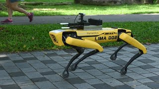 Boston Dynamics is selling a robot dog for $74,500