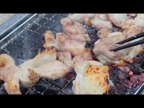 炭火焼の鶏肉 #キャンプ飯 #バーベキュー #bbqfire