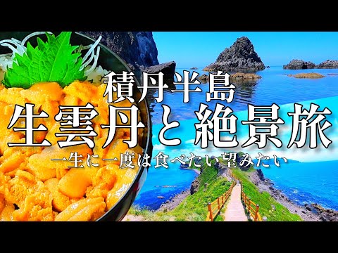 【今しか食べれない】行列必須の超人気店と北海道の絶景に感動の連続でした【積丹半島】