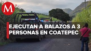 Hallan a 3 personas sin vida en Coatepec, Veracruz