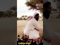 خذني الهجوس مع شبة النار