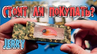 :        AliExpress  Jerry