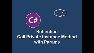 call private instance method with params using reflection in c#