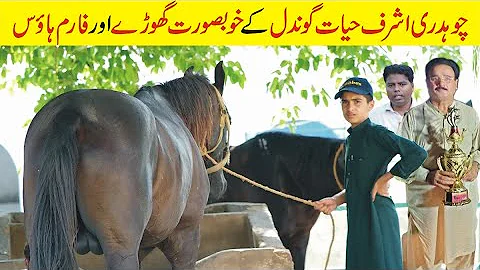 Attractive Farmhouse Ashraf Hayat Gondal | Beautif...