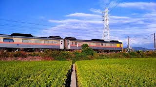 373次DR3000/2900型柴聯自強號 通過永靖北