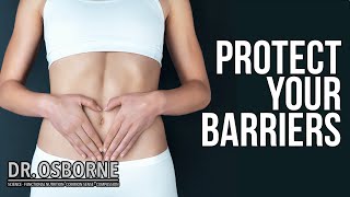 Protect The Barriers In Your Gut!