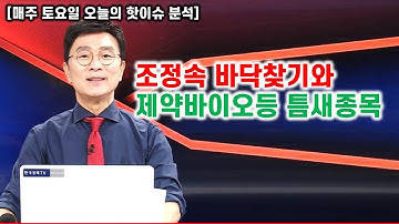[김종철 무료방송] 조정속 바닥찾기와 제약바이오등 틈새종목