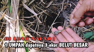 CARA MANCING BELUT‼️ AGAR HEMAT UMPAN DAN HASIL MEMUASKAN 