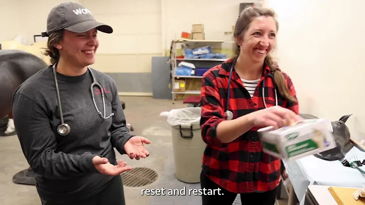 Biosecurity is not boring! Simulation-Based Education, WSU College of Veterinary Medicine