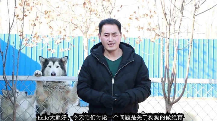 狗狗的绝育到底对它好不好呢？如果你真的爱它，那就听听养犬小伙的分析 - 天天要闻