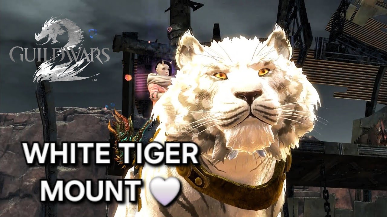 [ GW2 ] Guild Wars 2 • White Tiger Mount 🤍 ( Settings Choose 1080p