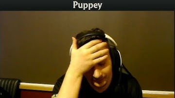 "LOOK AT PUPPEY HE