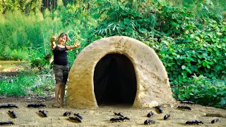 Challenge to make a house from a termite nest - Safe in the Rainforest | New Wild Land / Off Grid