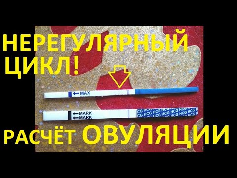 Видео: Как справиться с овуляцией при нерегулярных менструациях: 9 шагов