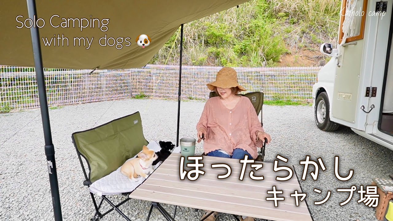 【50代女子？ソロキャンプ】バラ満開❗️5月なのに30°C越えクーラー無しの車中泊 ｜ほったらかしキャンプ場 | ｜Solo camping with my dogs. Vlog［67］