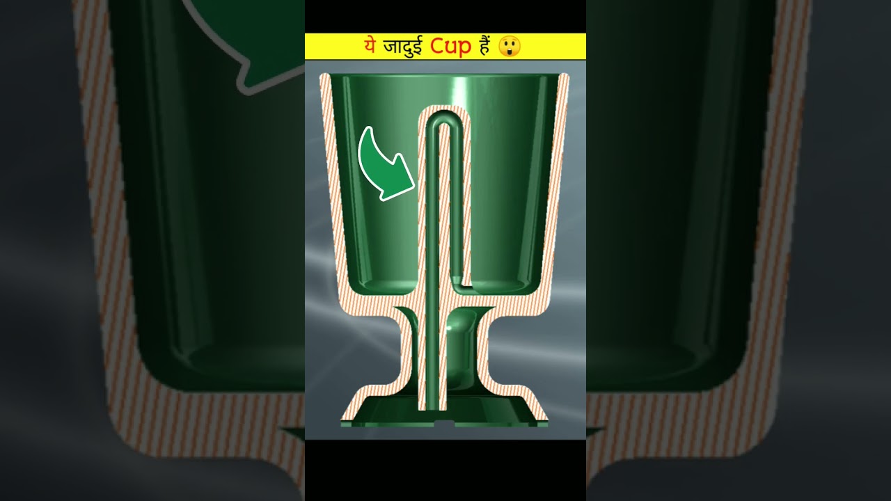 This Is Magical Cup 