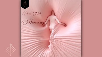 Mccoy T.kirk - Harmony (Official Visualizer)