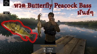 FishingPlanet : หวด Butterfly Peacock Bass / Everglades มันส์ๆ