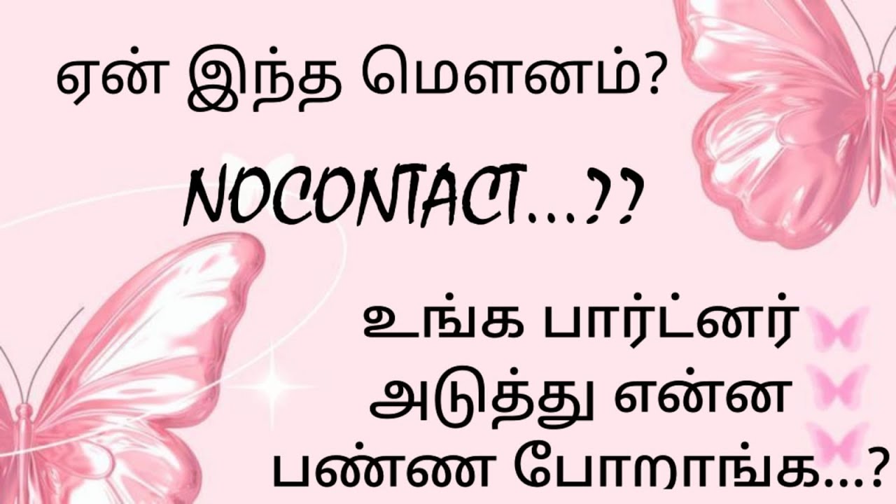 NO CONTACT || திரும்பி வருவாங்களா...?​ உங்கள மிஸ் பண்றாங்களா? 😢 #Pilereading