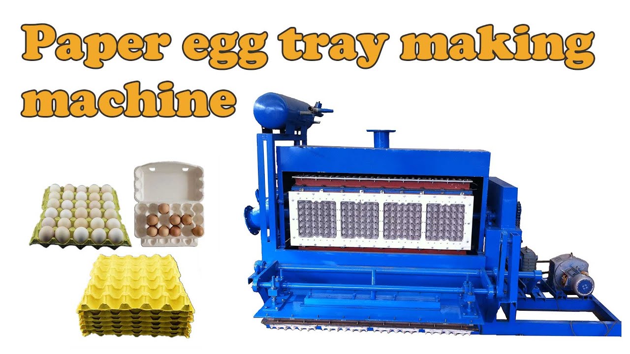 Paper egg tray making machine丨egg tray molding machine YouTube