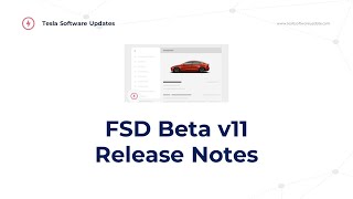 FSD Beta v11 Release Notes