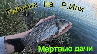 РЫБАЛКА НА КАРАСЯ ,, МЕРТВЫЕ ДАЧИ ‘’ РЕКЕ ИЛИ