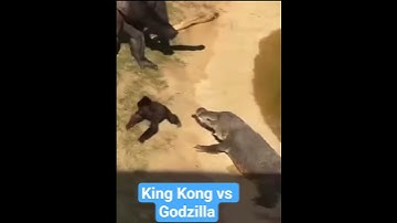#shorts #shortvideo #kingkong #godzilla