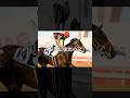伝説はここから始まった。海外GⅠ制覇は何代続くのか…#リアルスティール #競馬 #shorts