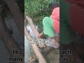 hi,you stayed for 10secs to help my video reach many hearts so we could get help for clean water 🙏🙏💔