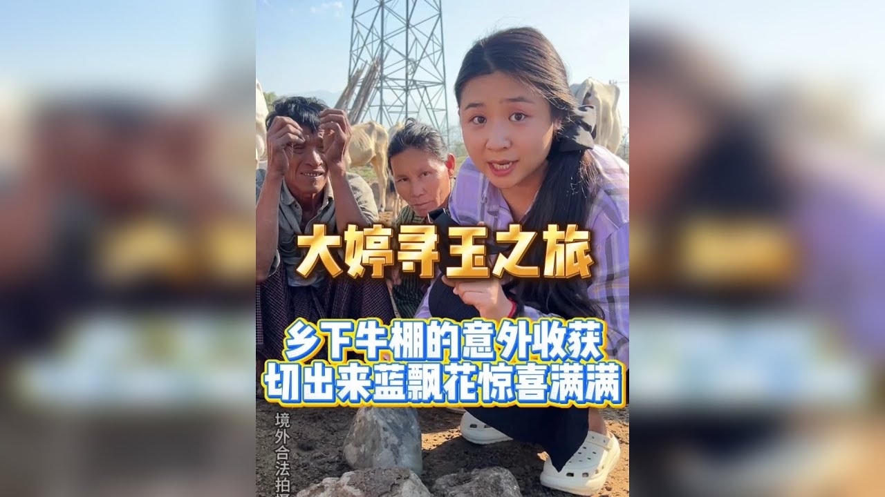 乡下牛棚的意外收获，切出飘花惊喜满满！！