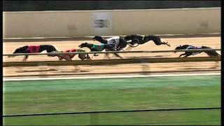 HVL SUN 29 NOV 15 R12