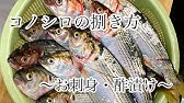 コノシロさばき方 刺身 料理レシピ小骨処理 骨切り Youtube