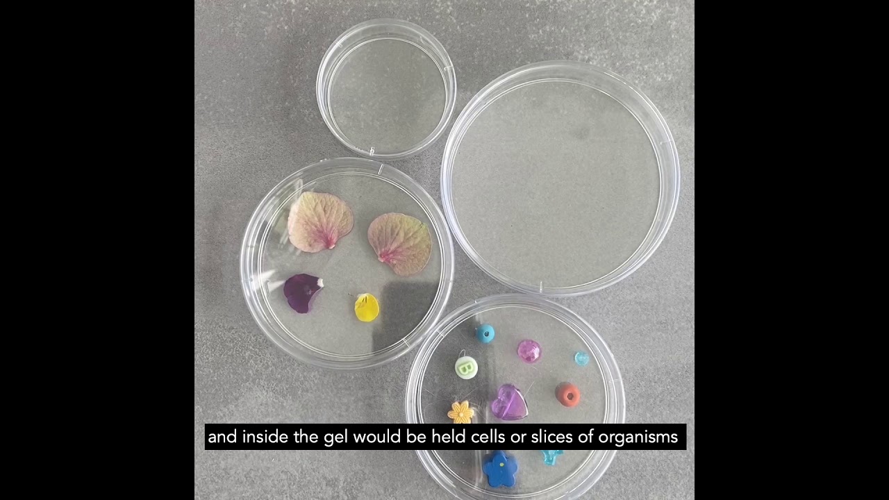 How to | When science meets art workshop