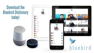 Bluebird Dictionary - FREE 163 language dictionary with 5 million words.