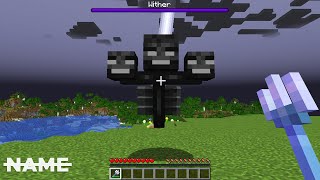 I Killed The Wither With Lightning In Minecraft (#9)