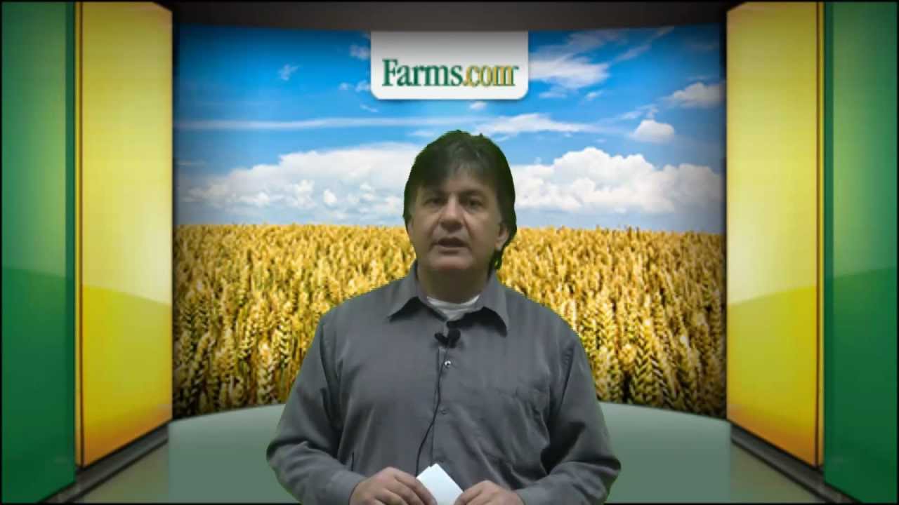 2012 USDA World Agriculture Supply and Demand Estimate Report YouTube