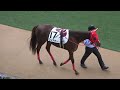 【Fischer's】ンダホ氏が馬主としてデビュー!持ち馬ワンダホーが中山芝2000mにて無事デビュー!鞍上は横山武史騎手!【ンダホ】