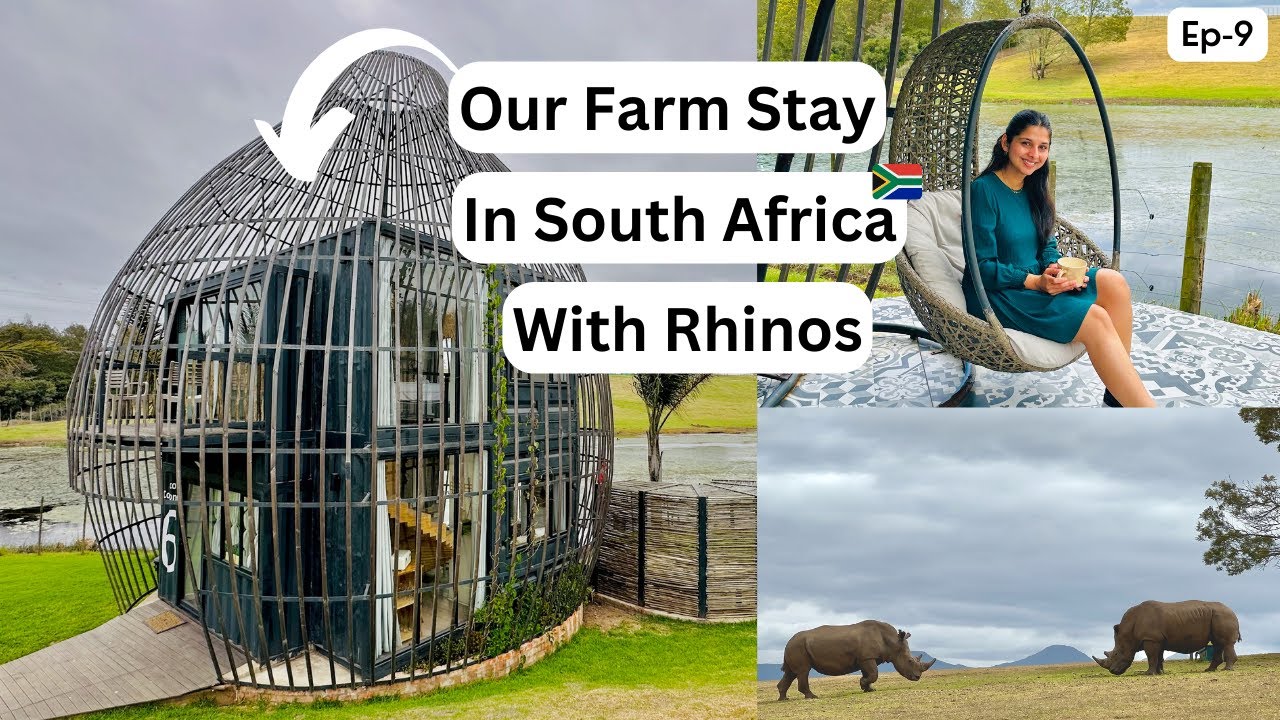 South Africa Village Farm House Tour | Living With African Wild Animals| Beautiful Village Farm Stay