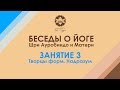 Беседы о йоге Шри Ауробиндо. Занятие 3. Творцы форм. Надразум