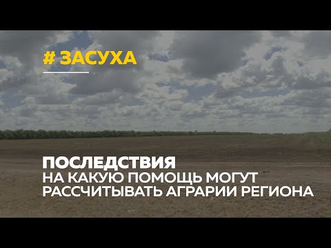 Самая масштабная засуха: из-за отсутствия осадков алтайские аграрии рискуют остаться без урожая