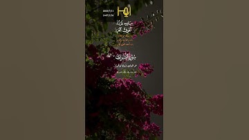 القارئ /عمر النبراوي #تلاوات #قرآن