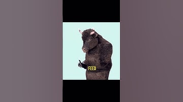 DOPAMINE REWARD LOOP - The one you can