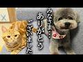 みなさま長い間ありがとうございました...