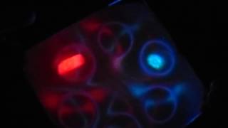 6 ring magnets in a circle ferrophoto red blue