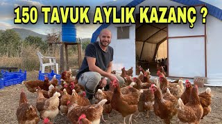 150 TAVUK AYDA KAÇ PARA KAZANDIRIR ? ~ 25.000 ₺ye Kendi İşinin Patronu Ol