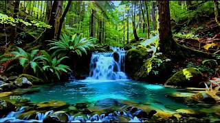 Relaxing Music for Restful Sleep Inner Healing